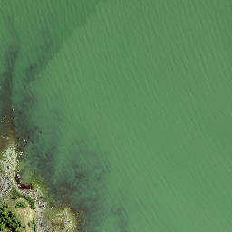 Satellite imagery of Tammiski Nukk, EE