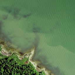 Satellite imagery of Seanina, EE