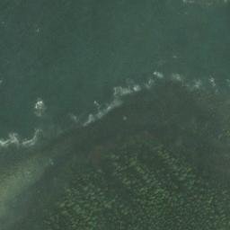 Satellite imagery of Point Bridget, US