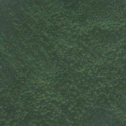Satellite imagery of Point Bridget, US