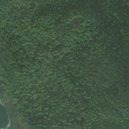 Satellite imagery of Point Bridget, US