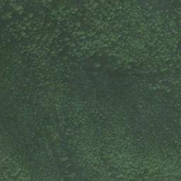 Satellite imagery of Point Bridget, US