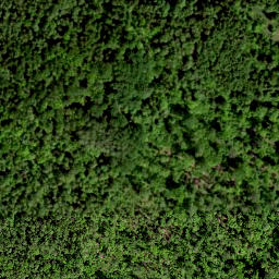 Satellite imagery of Pammana Nina, EE