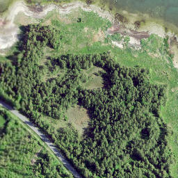 Satellite imagery of Pulli Pank, EE