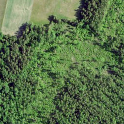 Satellite imagery of Pulli Pank, EE