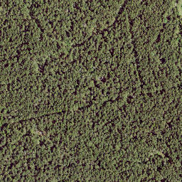 Satellite imagery of Panga Nukk, EE