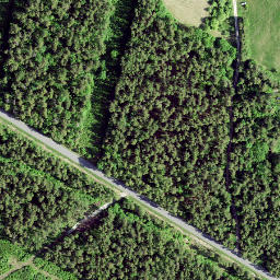 Satellite imagery of Orissaare TV Tower, EE