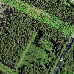 Satellite imagery of Orissaare TV Tower, EE