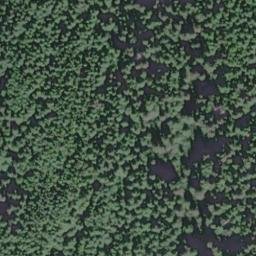 Satellite imagery of Monument 88, CA