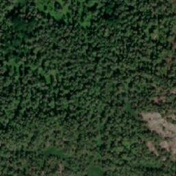 Satellite imagery of Svartelia, NO
