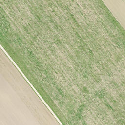 Satellite imagery of Sürgavere Mägi, EE