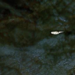 Satellite imagery of Mount Mary Henry, CA
