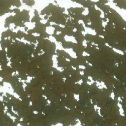 Satellite imagery of Dome Mountain, CA