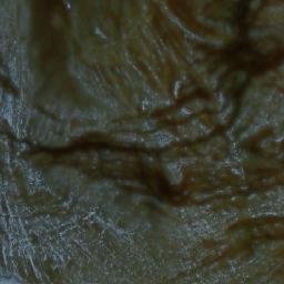 Satellite imagery of Mount St. Sepulchre, CA