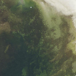 Satellite imagery of Mõisavergisaar, EE