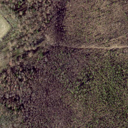 Satellite imagery of Sooranna mediumwave transmitter, Mast West, EE