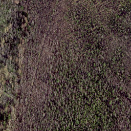 Satellite imagery of Sooranna mediumwave transmitter, Mast West, EE