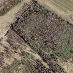 Satellite imagery of Sooranna mediumwave transmitter, Mast West, EE
