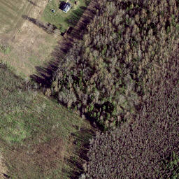 Satellite imagery of Sooranna mediumwave transmitter, Mast West, EE
