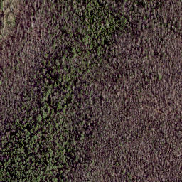 Satellite imagery of Sooranna mediumwave transmitter, Mast West, EE