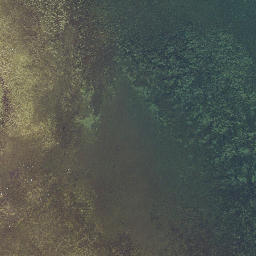 Satellite imagery of Panganukk, EE