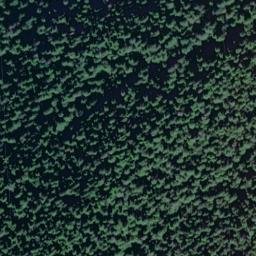 Satellite imagery of Davidson Point, US