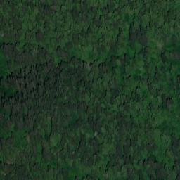 Satellite imagery of Hankinson Peninsula, US