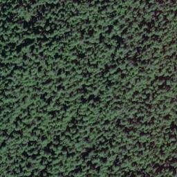 Satellite imagery of Davidson Point, US