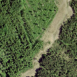 Satellite imagery of survey_point, SE