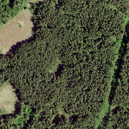 Satellite imagery of survey_point, SE