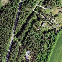 Satellite imagery of survey_point, SE
