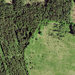 Satellite imagery of survey_point, SE