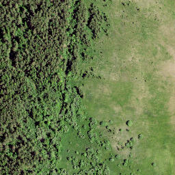 Satellite imagery of survey_point, SE