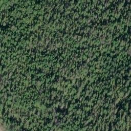 Satellite imagery of Point Howard, US