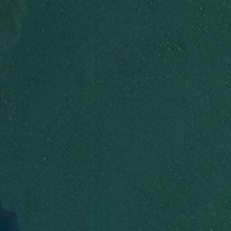Satellite imagery of Point Howard, US