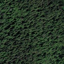 Satellite imagery of Point Adolphus, US