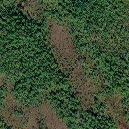 Satellite imagery of CLEARING — NGS UV1553 — Unorganized Borough, US, US