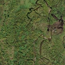 Satellite imagery of Gnat Pass, CA