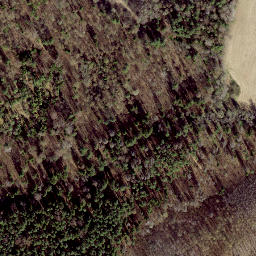 Satellite imagery of Köstrimägi, EE