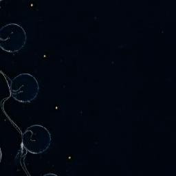 Satellite imagery of Torkilsvaglen, NO