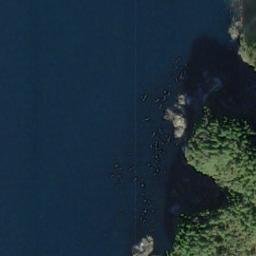 Satellite imagery of Point Lavinia, US