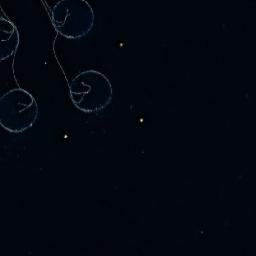 Satellite imagery of Tarmevikodden, NO
