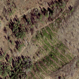 Satellite imagery of Köstrimägi, EE