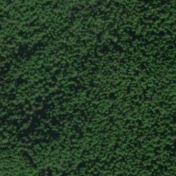 Satellite imagery of Tantallon Point, US