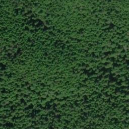 Satellite imagery of Icy Point, US