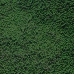 Satellite imagery of Tantallon Point, US