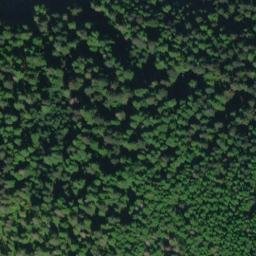 Satellite imagery of Point Young, US