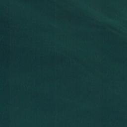 Satellite imagery of Icy Point, US