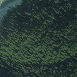 Satellite imagery of Monument 81, CA