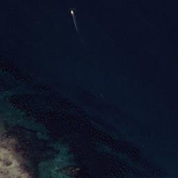 Satellite imagery of Crist Point, US